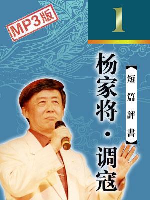 杨家将·调寇有声小说