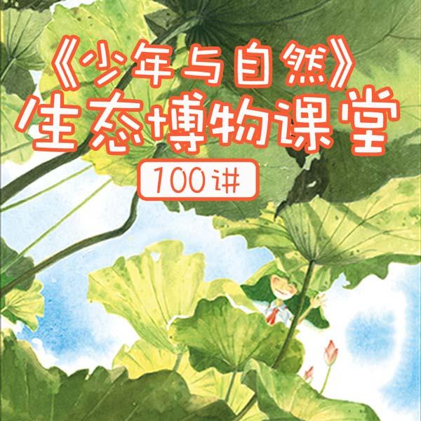 《少年与自然》生态博物课堂：植物篇有声小说